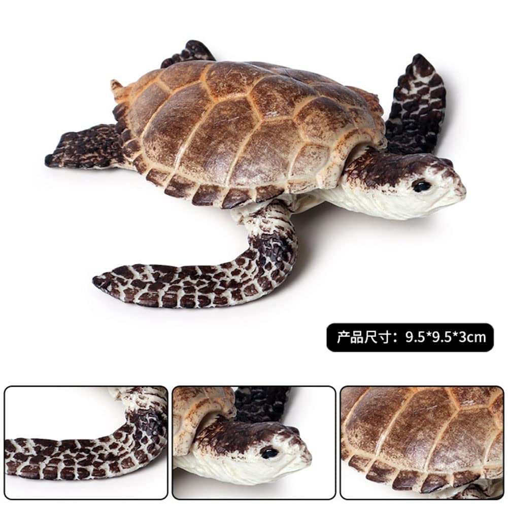 BLAPNK 2 Pcs Realistic Ocean Turtle Model Toys, Simulated Sea Life Turtle Animals Figurine Collection Playset Sea Creature Science Educational Props