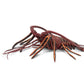 Safari Ltd. Spiny Lobster Figurine - Hand-Painted, Lifelike Model Figure 12.5" - Fun Educational Marine Animal Toy for Boys, Girls & Kids Ages 3+