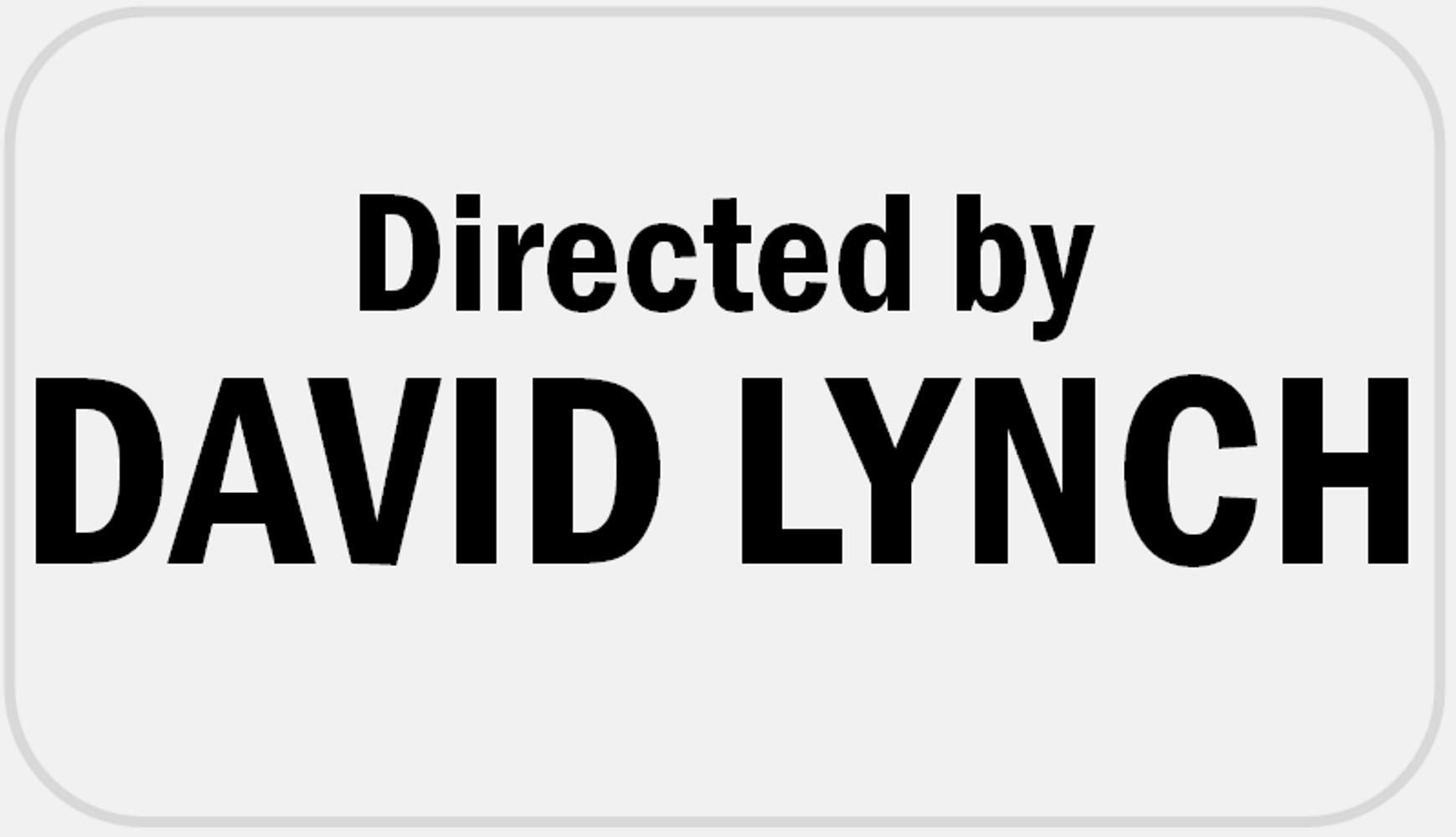 Directed By David Lynch - 100 Stickers Pack 2.25 x 1.25 inches