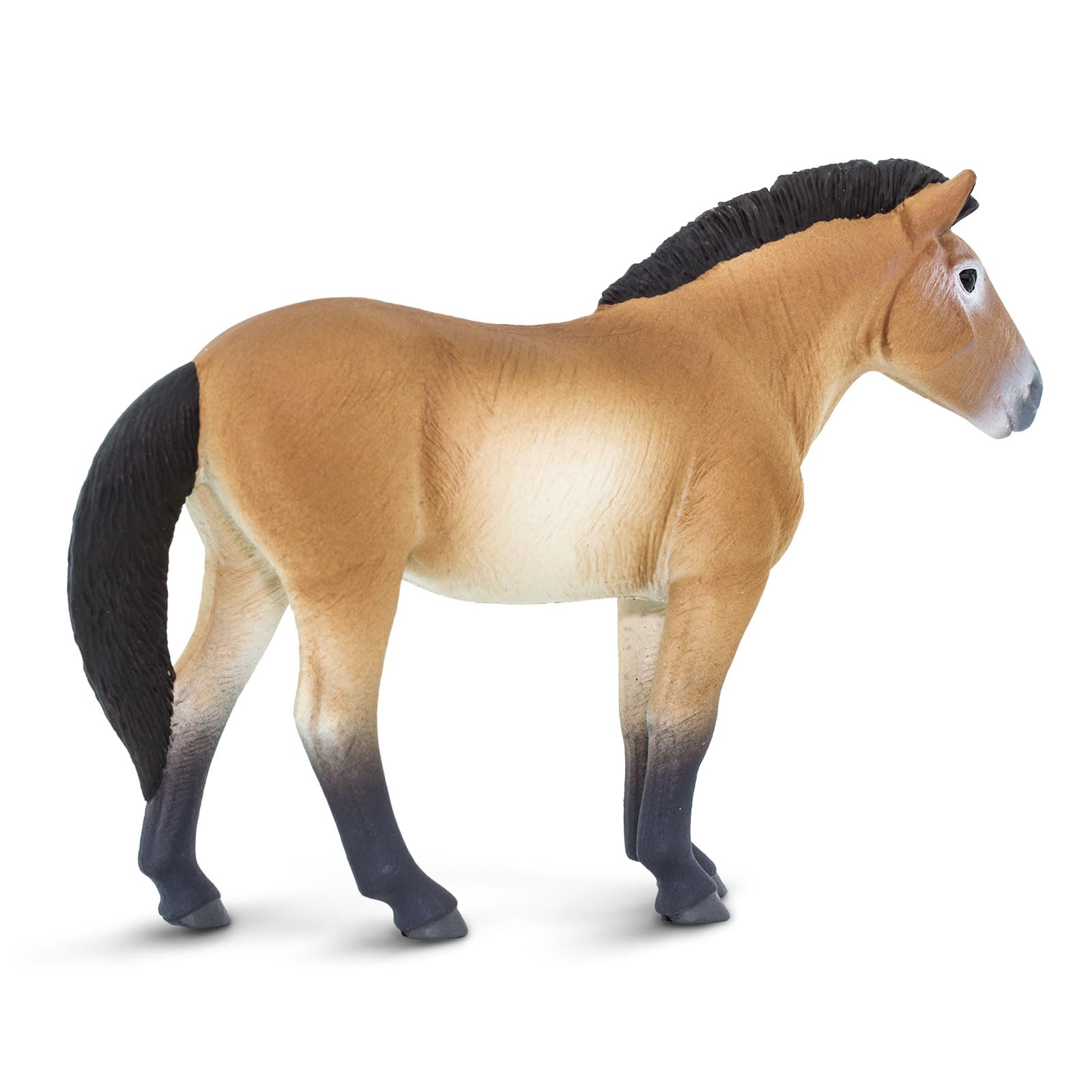 Safari Ltd. Przewalski's Horse Figurine - Lifelike 5" Horse Figure - Educational Toy for Boys, Girls, and Kids Ages 3+