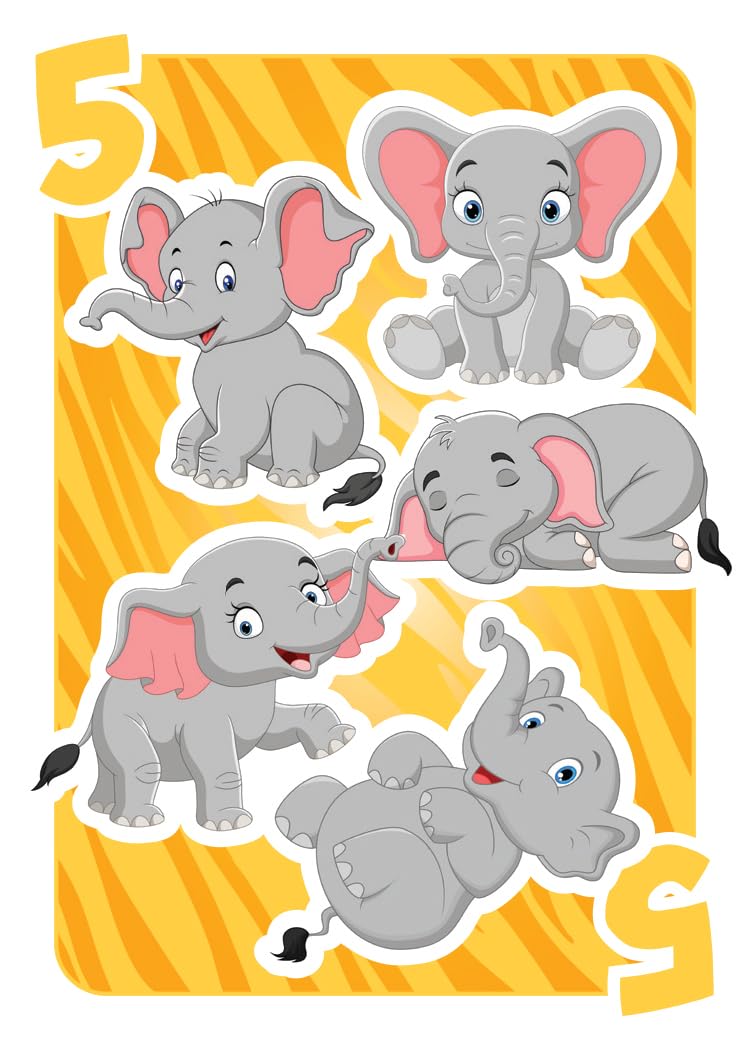 Outset Media The Wild Card Game - for 2 to 5 Players Ages 6 and up