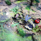 RCOMG 12 PCS Small Realistic Insects Figures Toys, Plastic Wildlife Animal Fake Bug Toys Halloween Party Favor School Project Bug Figurines Set