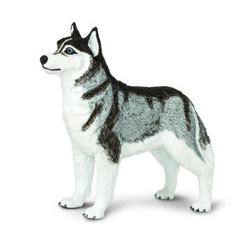 Safari Ltd. Siberian Husky Figurine - Detailed 3.25" Plastic Model Figure - Fun Educational Play Toy for Boys, Girls & Kids Ages 3+