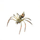 Mechanical Insect Bug Spider Sculpture, Metal Model Kits, Adult Hobby Kits for Men,Arts & Crafts,DIY Projects Metal Building Mens Birthday Gift, Fun