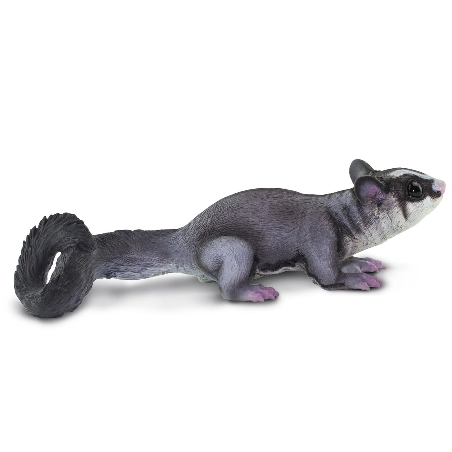 Safari Ltd. Sugar Glider Figurine - Hand-Painted, Lifelike Model Figure 6.75" - Fun Educational Marsupial Toy for Boys, Girls & Kids Ages 3+