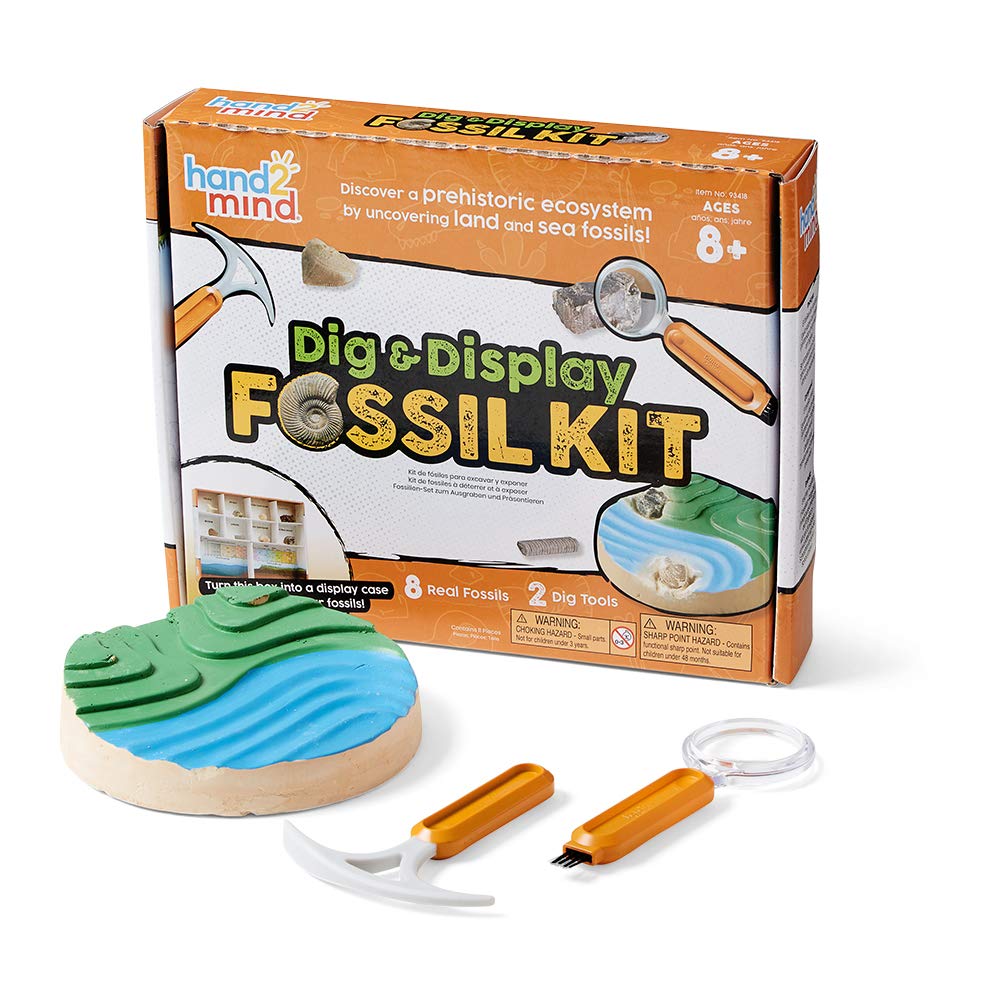 hand2mind Dig & Display Fossil Dig Kit, Fossil Display Case, 8 Real Fossils to Uncover, Dig Kits for Kids, Fossil Digging Kit for Kids, Excavation Kit