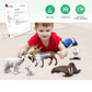 Volnau Sea Creature Toys Figures 9PCS Arctic Circle Ocean Animals Figurines for Toddlers Kids Christmas Decoration Gift Plastic Fish Preschool Pack