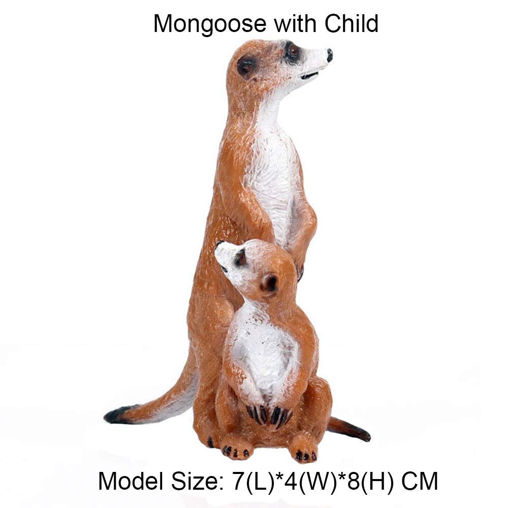 FLORMOON Animal Figures Realistic Mongoose Plastic Early Educational Toys Cupcake Topper Party Gift for Kids 2+ Year Old