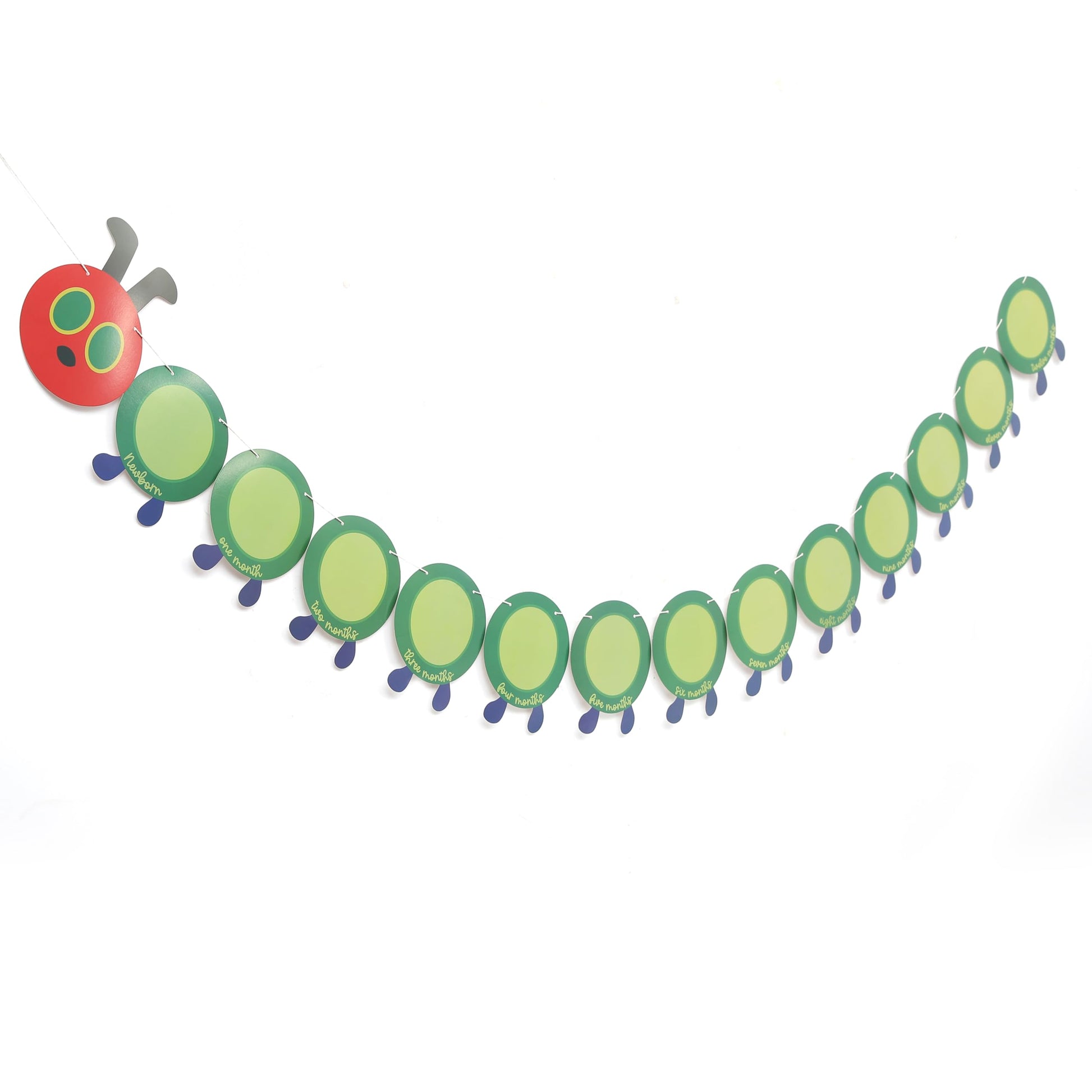 Hungry Caterpillar Monthly Milestone Photo Banner - Newborn to 12 Months, Fruit Theme, 1st Birthday Decoration