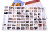 Geosciences Industries 13357 Introductory Earth Science Classroom Rocks and Minerals Collection