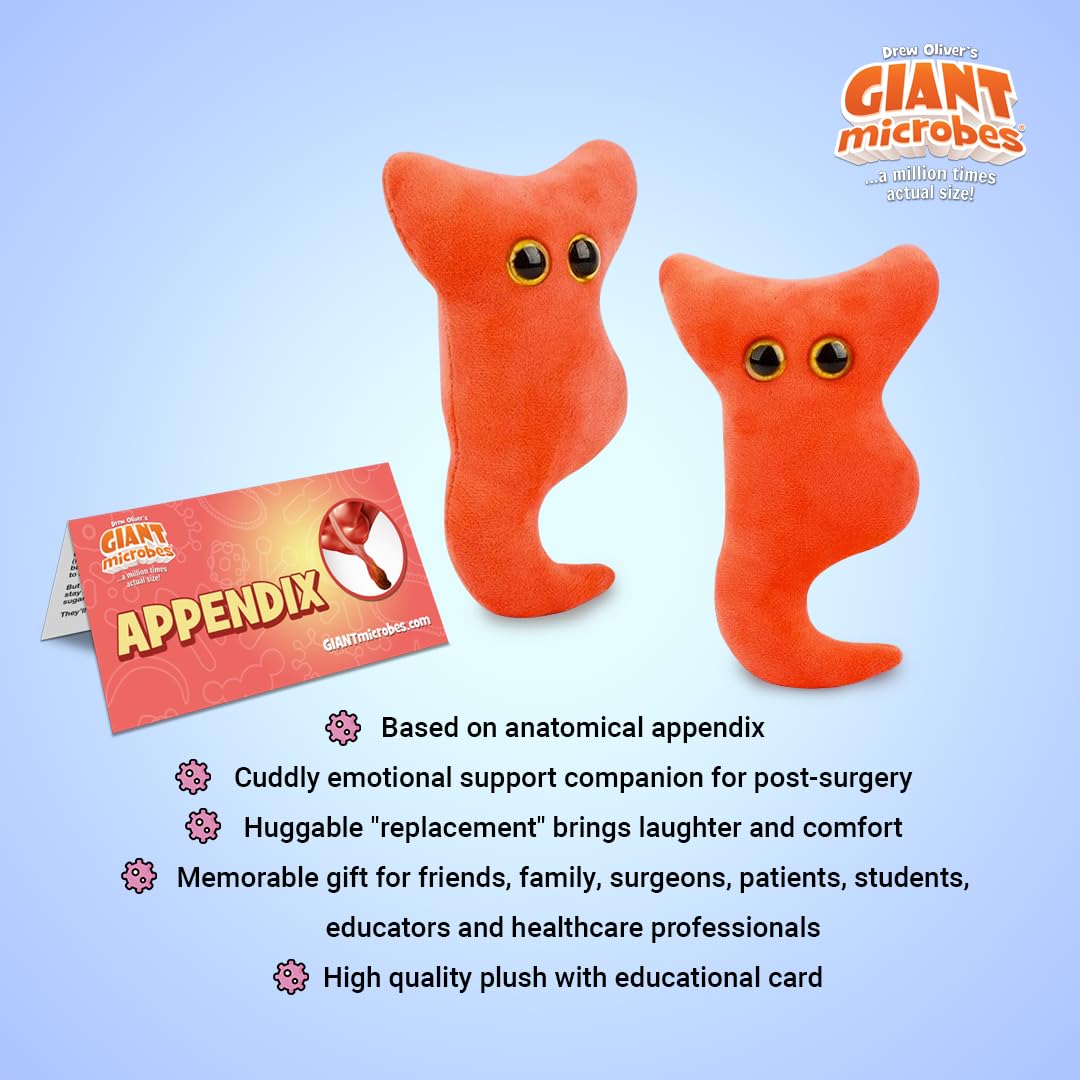 GIANT MICROBES Appendix Plush - 6" Organ Toy for Surgery Recovery Gift