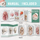2026 New Human Skull Model,3 Part With 2-Part Human Brain;Half Life Size Skull with Brain;Human Head With Brain for Medical Teaching Learning, Art