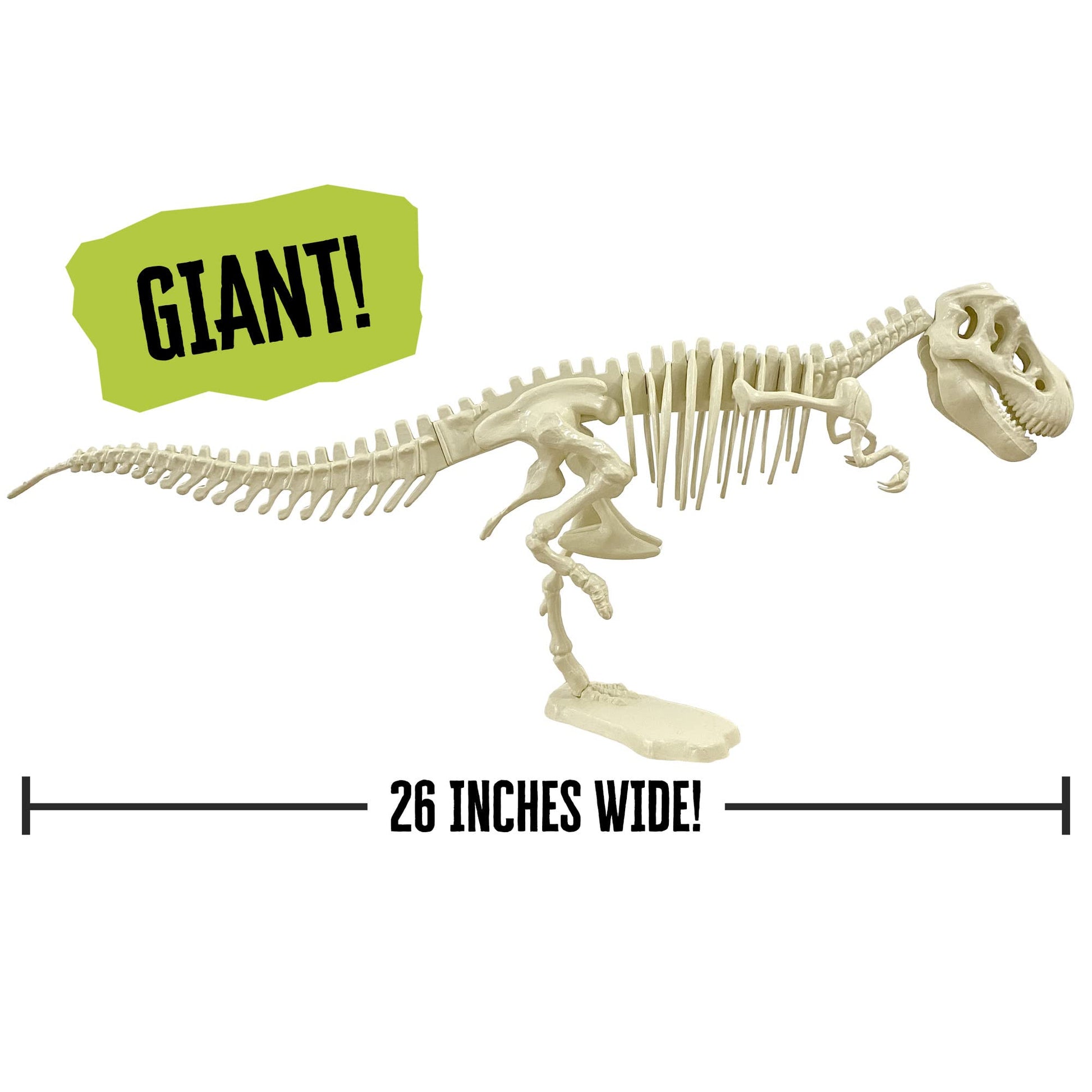 Thames & Kosmos Giant Dinosaur: T. Rex Skeleton Model | STEM Activity | Build a 26-in Long T. Rex Skeleton | Explore Paleontology & Learn Fun Dino