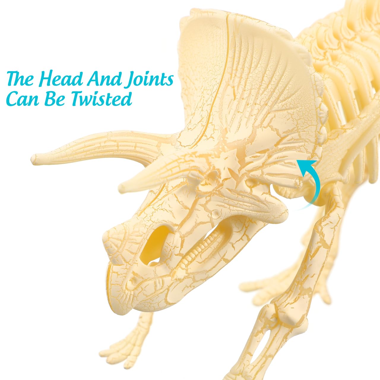 NUOLUX 3Pcs 4D Dinosaur Fossil Skeleton Toys DIY for Kids Fossil Skeleton Figure