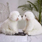 QREZAA 14" Realistic Plush Maltese Dog, Stuffed Animal Puppy Dog Toys, Soft Plush Pillow Birthday for Kids and Adult, White
