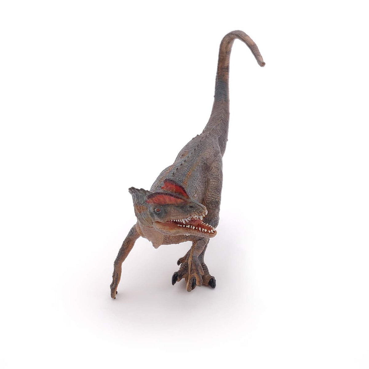 Realistic Dilophosaurus Figurine Toy, Dinosaurs Collection, Kids Ages 3+