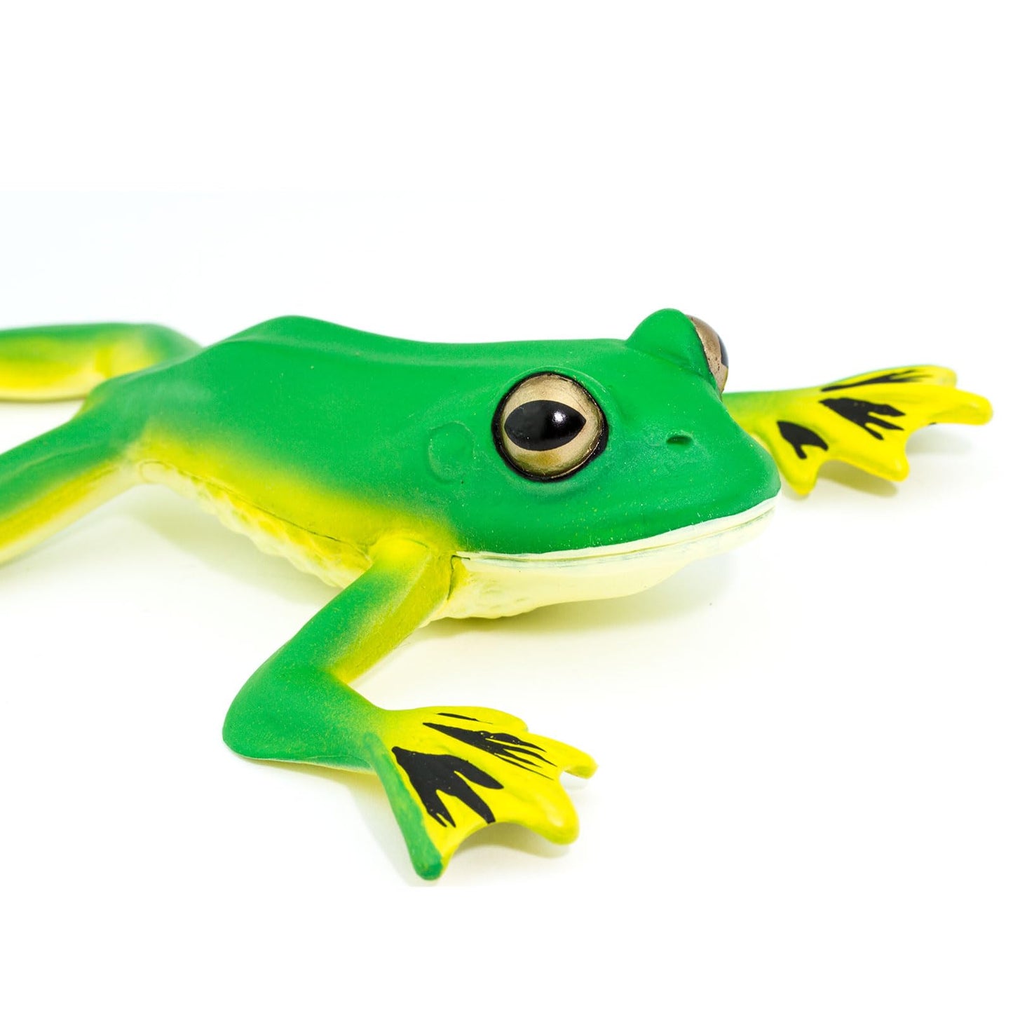 Safari Ltd. Flying Tree Frog Figurine - Lifelike 8" Amphibian Figure - Educational Toy for Boys, Girls, and Kids Ages 3+