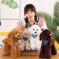 OPHRBU Poodle Plush Toys, Soft and Cute Poodle Plush Toys, Pillows, Cushions, the Best Gift for Your Family and Friends. 1 pc. (Yellow 12 inches)