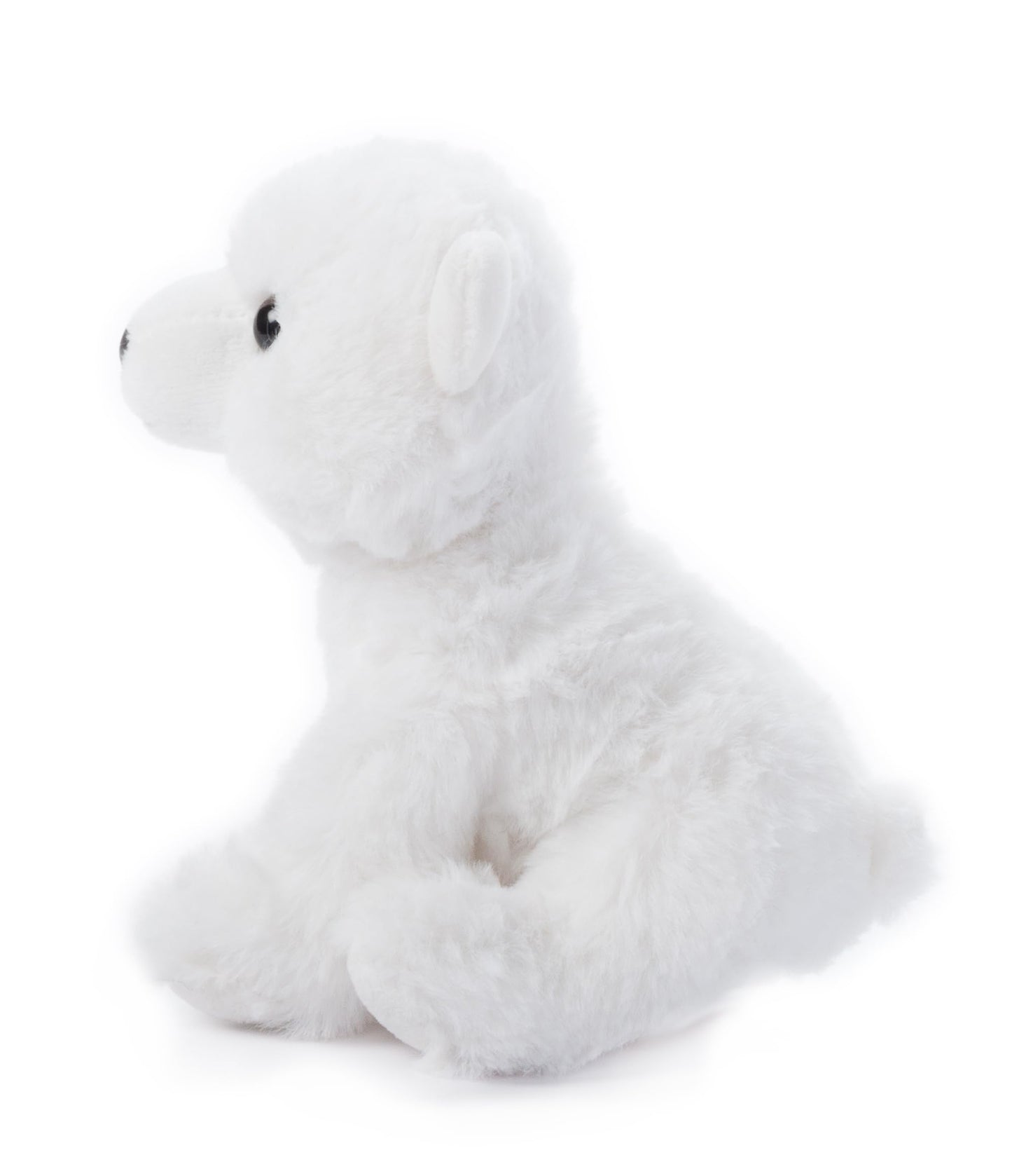The Petting Zoo Polar Bear Stuffed Animal Plushie, Gifts for Kids, Wild Onez Babiez Zoo Animals, Polar Bear Plush Toy 6 inches
