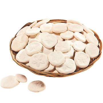 Fun Express Real Sand Dollars Plus Decorative Basket (50 and Dollars) Sea and Ocean Home Décor - VBS 2026 Vacation Bible School Supplies/Decor