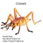 JOKFEICE Realistic Animal Figures Cricket Figurines Insect Toy, Science Project, Cake Topper, Early Educational Toys Birthday for Toddlers Kids Age 3
