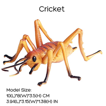 JOKFEICE Realistic Animal Figures Cricket Figurines Insect Toy, Science Project, Cake Topper, Early Educational Toys Birthday for Toddlers Kids Age 3