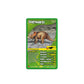 Top Trumps Dinosaurs Classics Card Game, Learn About The Tyrannosaurus Rex, Stegosaurus, Giganotsaurus in This Educational Pack, Gift and Toy for Boys