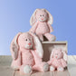 Mary Meyer Stuffed Animal Marshmallow Zoo Soft Toy, 19-Inches, Big Primrose Bunny