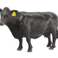 Little Buster Toys Cow Set - 5 Pack; Black Angus, Hereford, Red Angus, White Face Angus, Charolais; Get All Your Cows in one Deal!