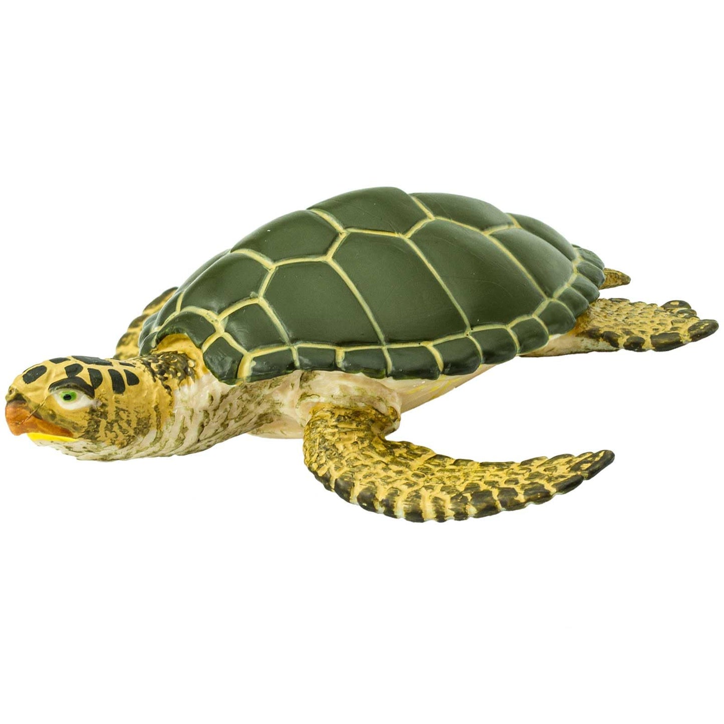 Safari Ltd. Green Sea Turtle Figurine - Detailed 3.58" Plastic Model Figure - Fun Educational Play Toy for Boys, Girls & Kids Ages 3+