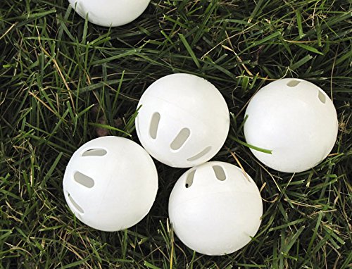 WIFFLE® Ball 10 Bulk Pack Includes Set of 2 Red, 2 Blue and 6 White All Official Wiffle® Balls