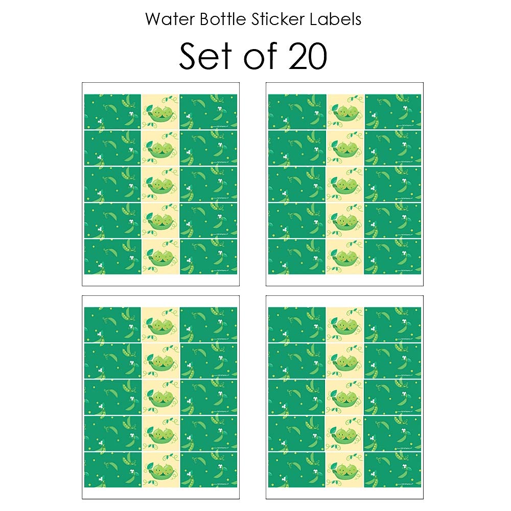 Big Dot of Happiness Double the Fun - Twins Two Peas in a Pod - Baby Shower or First Birthday Party Water Bottle Sticker Labels - Set of 20