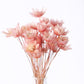1Pcs Pink Mini Flower Vase, 1/12 Scale Miniature Dollhouse Accessories Decor, Doll House Mini Flower Bowl Elegant Decoration for Mini Scene?Miniature
