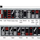 HenMerry 32PCS Pai Gow Tiles Game Set,24# Chinese Traditional Black Dominoes PaiGow, Pai Gow Poker, Best Casino Game Party Fun Toy for Entertainemnt