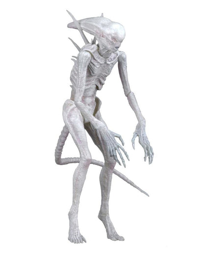 NECA Alien: Covenant - 7" Scale Action Figure - Neomorph