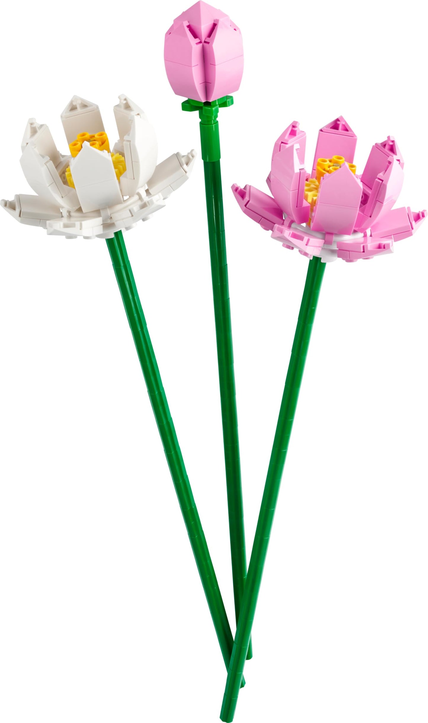 LEGO Lotus Flower - Building Toy for Kids, Girls & Boys, Ages 8+ - Artificial Lotus Flowers for Home Decor & Display - Creative Gift Idea for Her