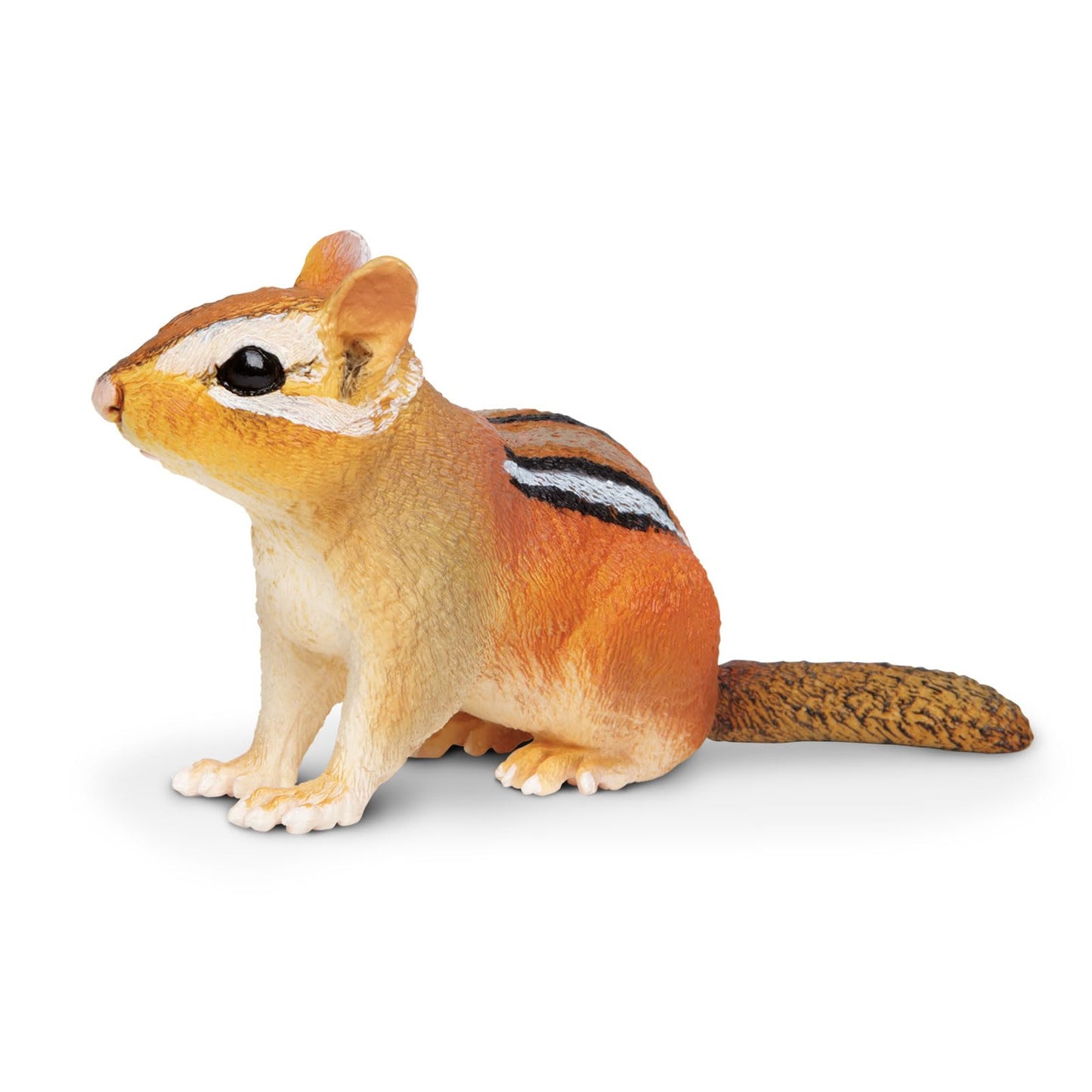 Safari Ltd. Eastern Chipmunk Figurine - Detailed 7" Plastic Model Figure - Fun Educational Play Toy for Boys, Girls & Kids Ages 3+