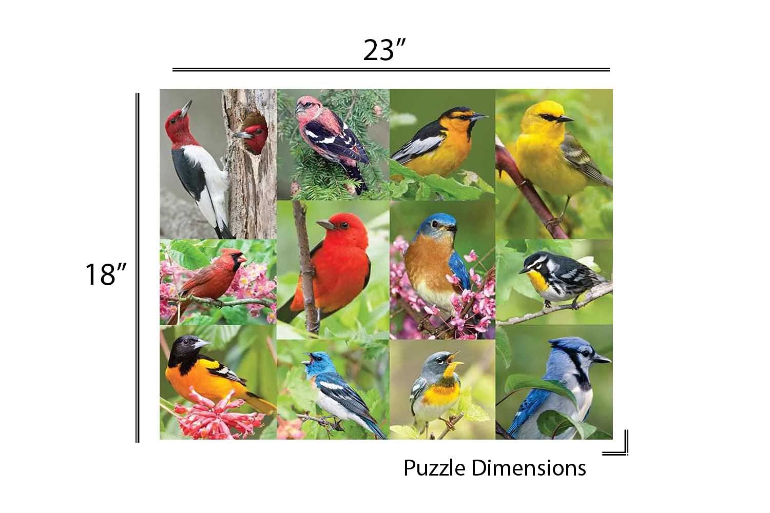 Springbok Puzzle to Remember - Alzheimer & Dementia Activity - 36 Piece Jigsaw Puzzle Birds of a Feather - Made in USA