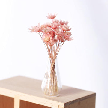 1Pcs Pink Mini Flower Vase, 1/12 Scale Miniature Dollhouse Accessories Decor, Doll House Mini Flower Bowl Elegant Decoration for Mini Scene?Miniature