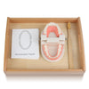 MEROCO Montessori Practical Life Teeth Model and Cards Teeth Brushing Toys