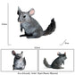 FLORMOON Realistic Animal Figures Chinchilla Lanigera Figurines, Science Project, Cake Topper, Early Educational Toys Birthday for Toddlers Kids Age 3