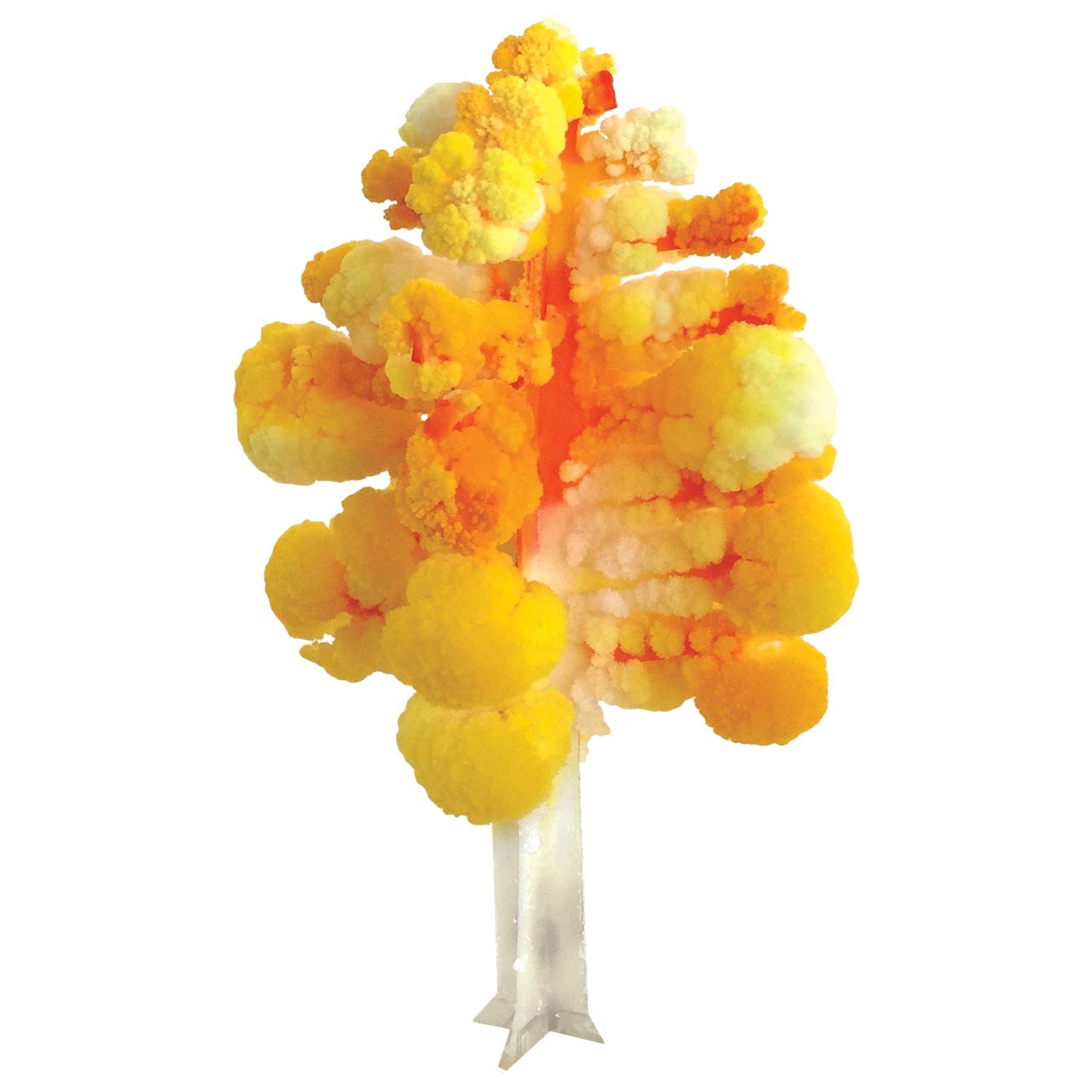 Crystal Growing Aspen Tree | Copernicus Toys Official Terraformer kit | Grows in Hours | Facts and Instructions Included
