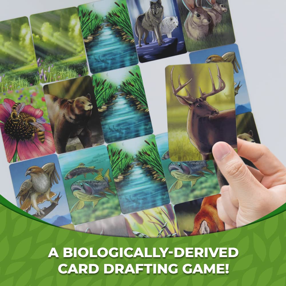 Ecosystem - A Family Card Game about Building Habitats | Learn about Animals, Ecology & Biodiversity for Kids, Adults, Families or the classroom! Fun