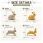 12 Pcs Easter Bunny Figures Fairy Garden Miniature Rabbit Figures Farm Animal Bunny Figurines Cake Topper Decorations Easter Egg Fillers Party Favors