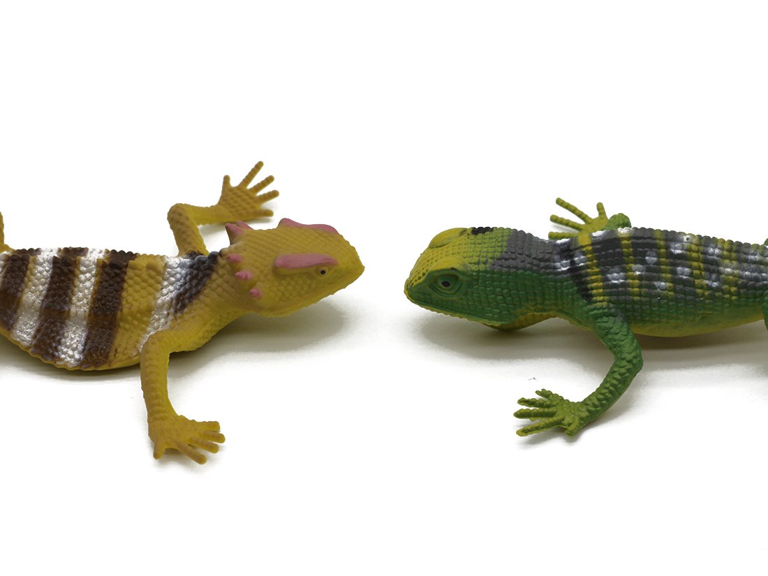 Kvvdi 12pcs 5 Inch Colorful Fake Plastic Lizard Toys Action Figure Reptile Toy Lizards Realistic Favors
