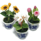 3pc Miniature Flower Clay Dollhouse Fairy Garden Mini Plant Trees Ceramic Paint Furniture Bundles Artificial Flowers Tiny Orchid #085
