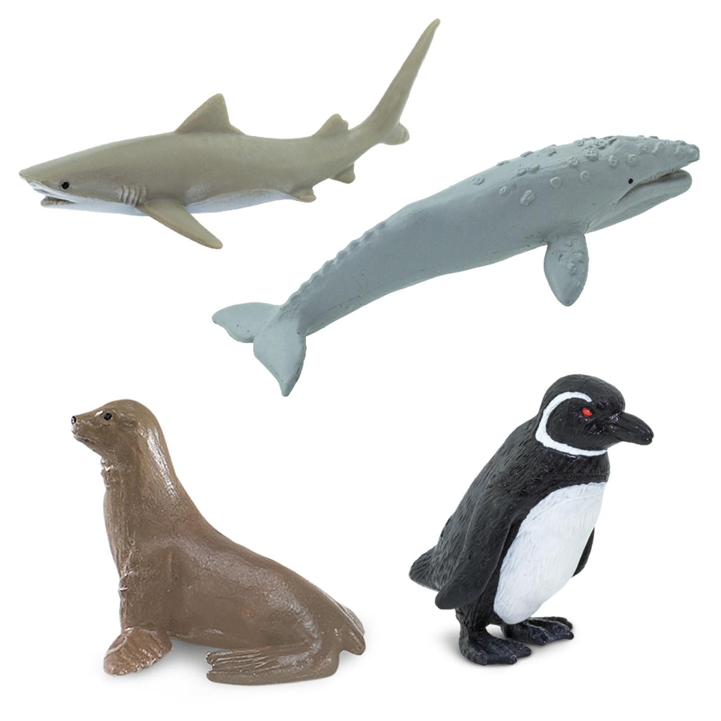Safari Ltd. Pacific TOOB - 10 Miniature Marine Animal Figures - Educational Toy Set for Boys, Girls, and Kids Ages 3+