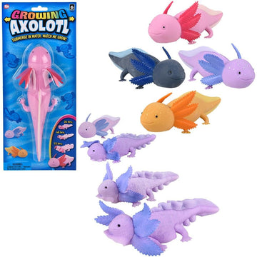 Rhode Island Novelty 9" Growing Axolotl (1 Per Order, Style May Vary)