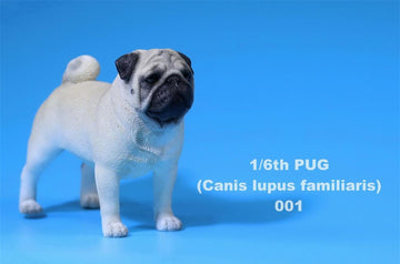 Lana Toys 1:6 Scale Pug Dog Pet Figure Realistic Animal Model