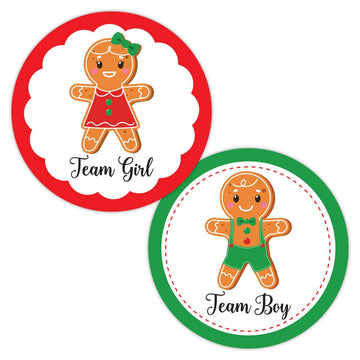 Christmas Gingerbread Gender Reveal Stickers - 40 Labels (20 of Each Design)